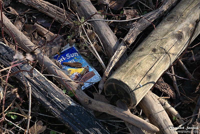 Bernhard Saalfeld - DSC01536 -1